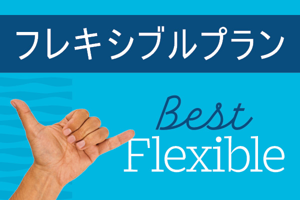 フレキシブルプラン