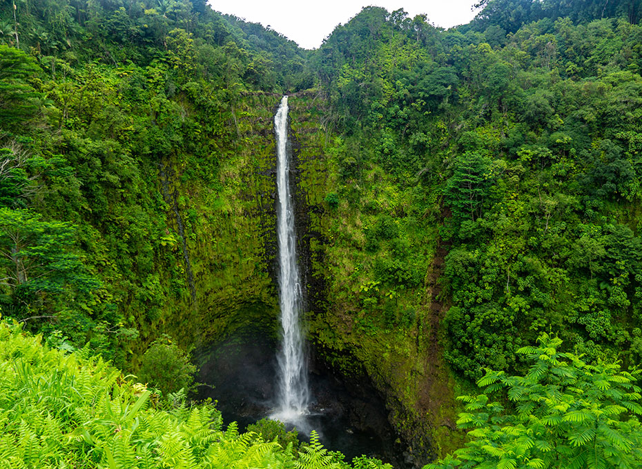 Beneft01_akaka_falls_930x680.jpg